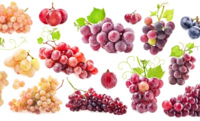 3 raisons pour lesquelles le raisin est idéal pour votre peau