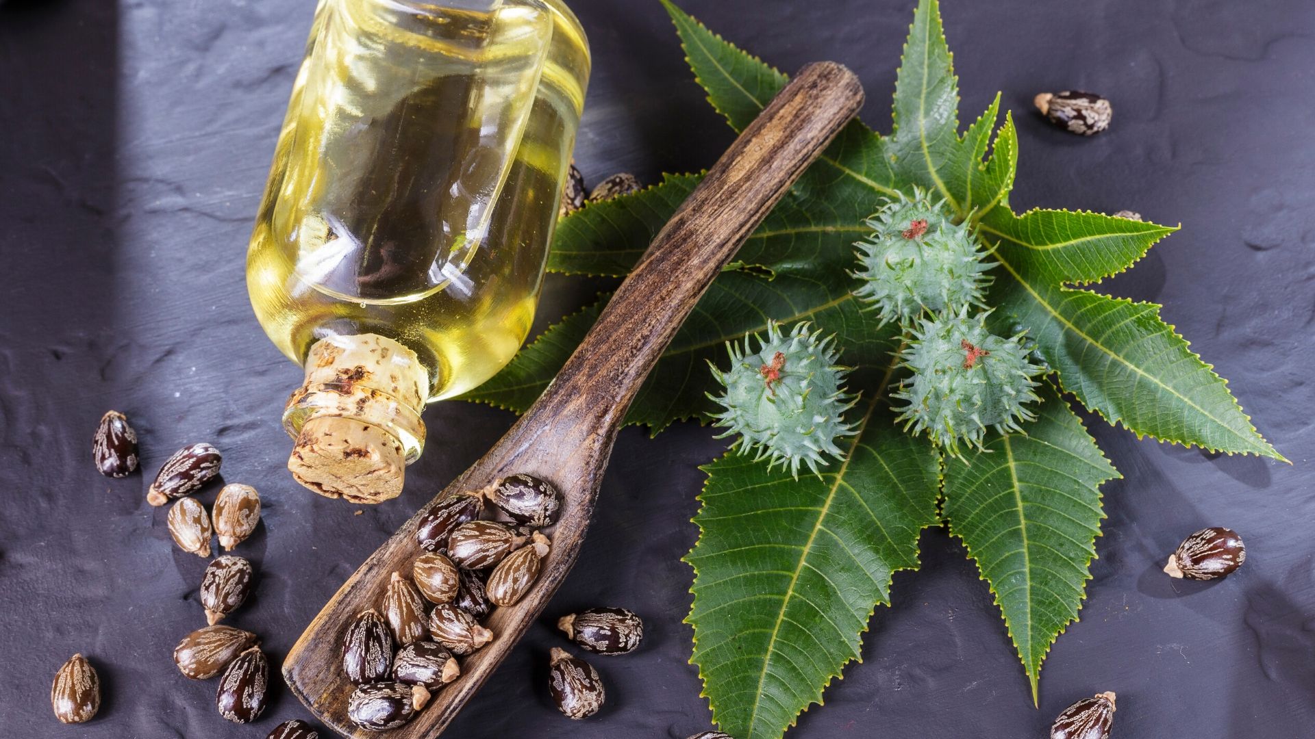 Les bienfaits de l’huile de ricin pour vos cheveux - Mes Astuces Faciles